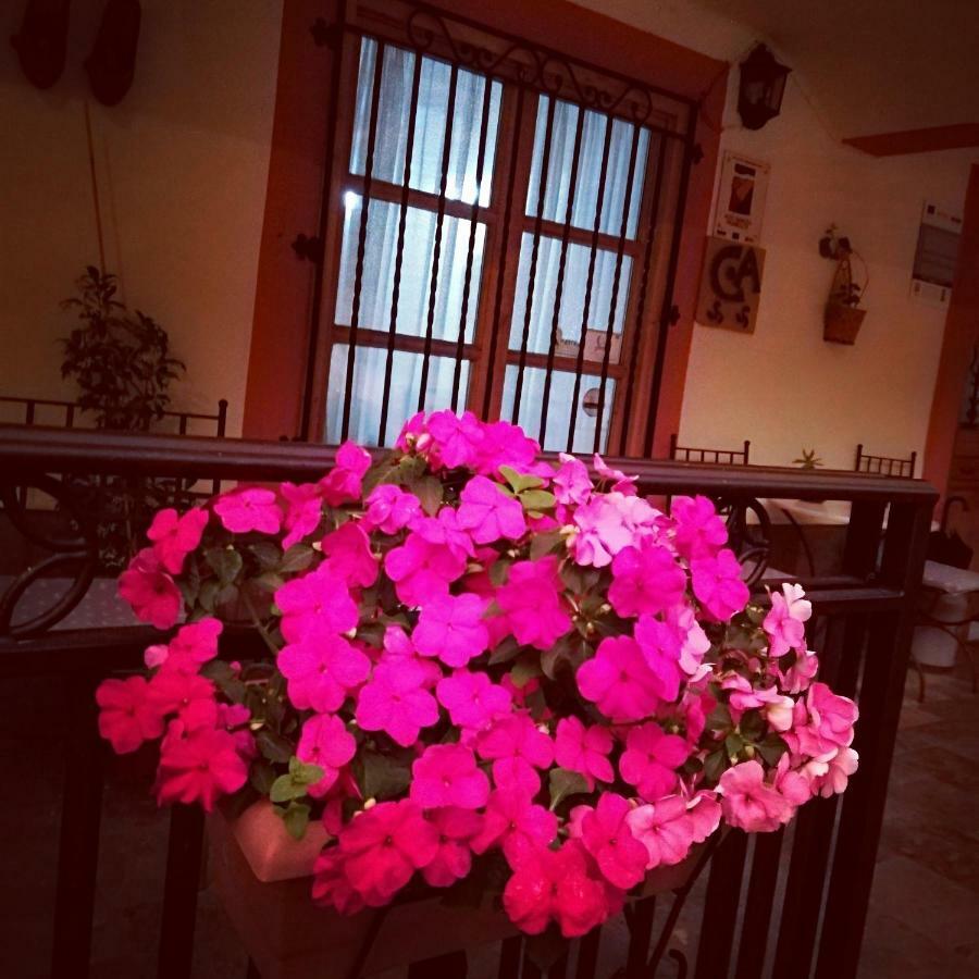 Casa De Aldea La Pescal Guest House Eksteriør bilde